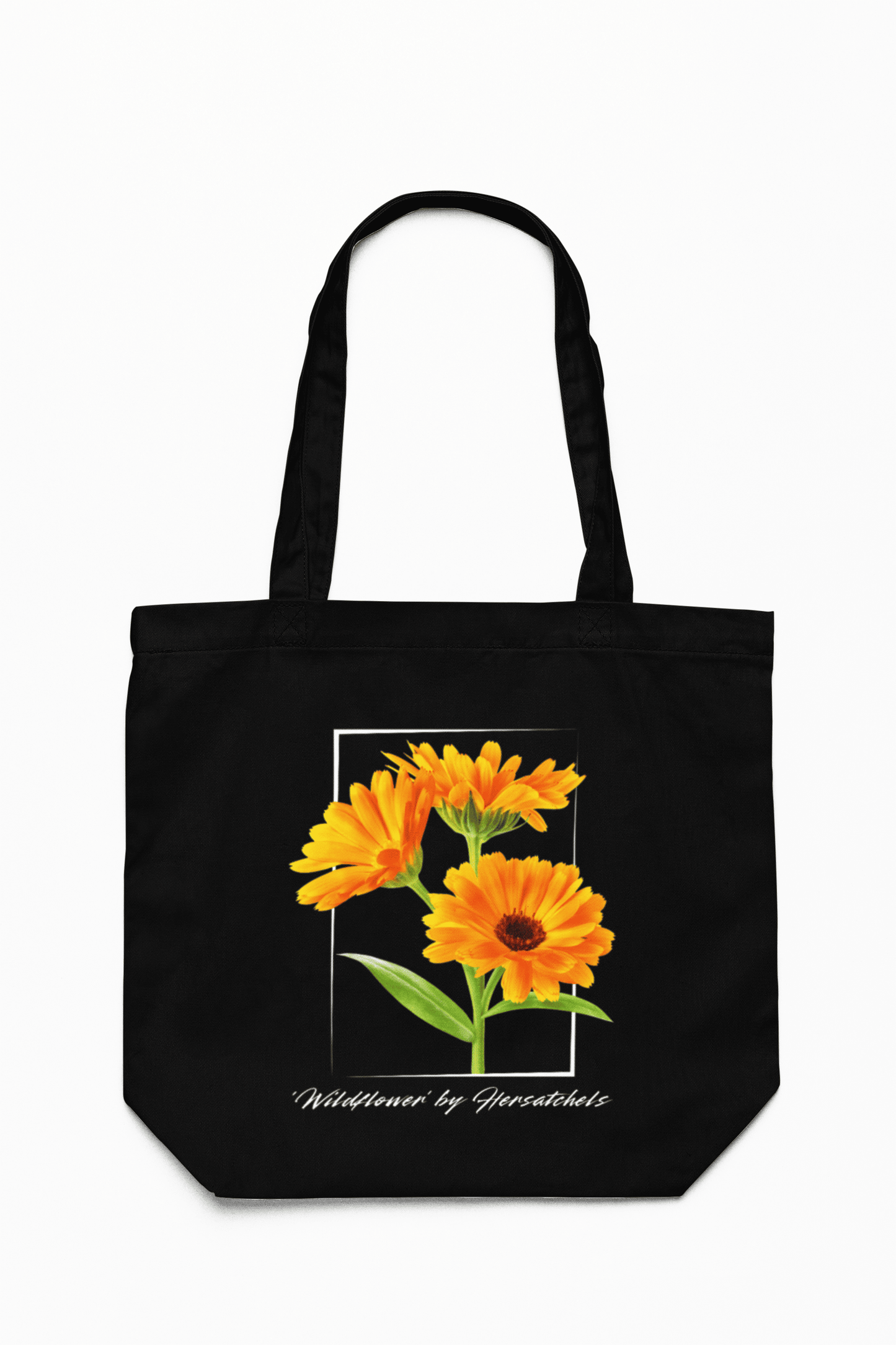 Scotch Marigold